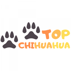 Logo Top Chihuahua