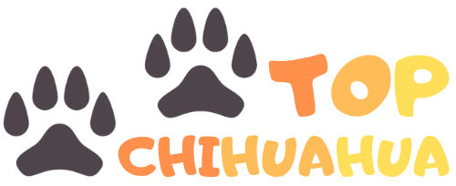 Topchihuahua